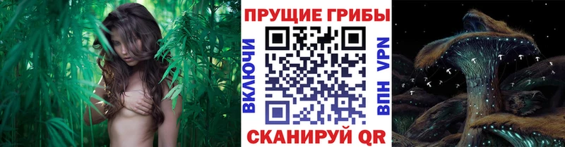Галлюциногенные грибы Magic Shrooms  mega зеркало  Кущёвская 